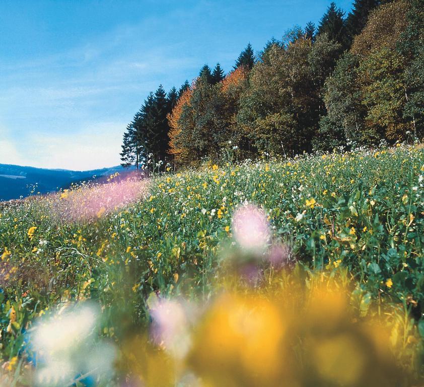 Landhaus Lenneper-Fuehrt Кирххундем Экстерьер фото